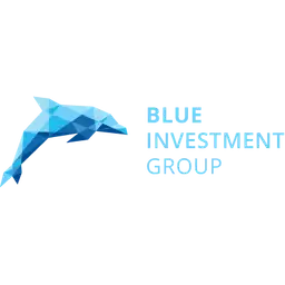 image of Blue Investment Groups logo